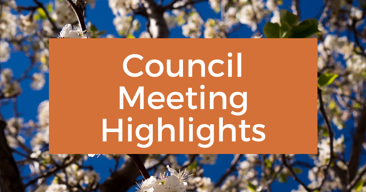 Council Meeting Highlights - November/December 2022 - Post Image